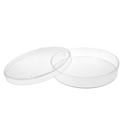 Chemglass Life Sciences 100mm Cell Culture Dish with Gripping Ring, TC,