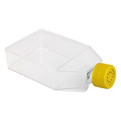Chemglass Life Sciences 175cm² Cell Culture Flask, Yellow Vent Cap, Non-Treated,
