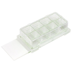 Chemglass Life Sciences Chamber Slide, 2 Well, Clear, with Glass Slide, Sterile (6/pk, 2pks/Case)