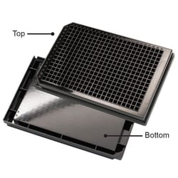 Chemglass Life Sciences&nbsp;Microplate, 384 Well, Black Assay Plate, Non-Treated, Non-Sterile, Porvair