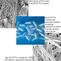 Chemglass Life Sciences BioNOC II Cell Culture Carrier, 250g/Bottle