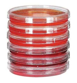 Cole-Parmer Sterile Petri Dishes; 100 mm dia x 15 mm H; 500/cs, Quantity: