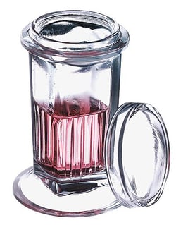 Cole-Parmer&nbsp;DWK Life Sciences (Wheaton) Glass Coplin Staining Jar with glass cover
