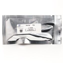 Revvity Health Sciences Inc IVISense 800 NHS Fluorescent Dye (5 mg) (VivoTag),
