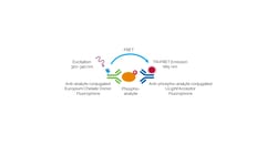 Revvity Health Sciences Inc LANCE Ultra Phospho-LCK (Tyr394) Detection