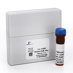 Revvity Health Sciences Inc LANCE <em>Ultra</em> Anti-Rabbit IgG ULight Antibody, 0.2 nmole