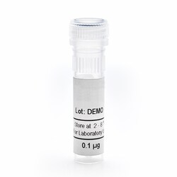 Revvity Health Sciences Inc&nbsp;AlphaLISA Human GDNF Detection Kit, Standard