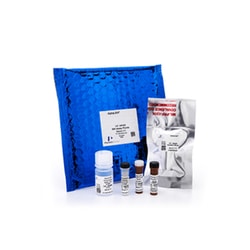 Revvity Health Sciences Inc&nbsp;HTRF Human Total JAK3 Detection Kit, 500 Assay Points