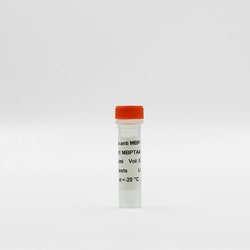 Revvity Health Sciences Inc HTRF mAb Anti-MBP Tb-Conjugate, 5,000 Assay