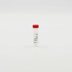 Revvity Health Sciences Inc HTRF Tag-Lite GIP Receptor Red Agonist Ligand,