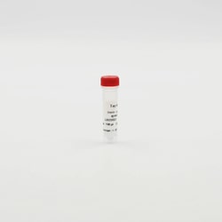Revvity Health Sciences Inc&nbsp;HTRF Tag-Lite Orexin Receptors Red Agonist Ligand, 5,000 Assay Points
