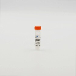Revvity Health Sciences Inc Tag-lite pSNAP-CXCR4 Chemokine Receptor Plasmid,