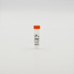 Revvity Health Sciences Inc Tag-lite pSNAP-GIPR Glucagon Receptor Plasmid,