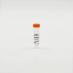 Revvity Health Sciences Inc Tag-lite pT8-HaloTag (Hygromycin) Plasmid,