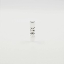 Revvity Health Sciences Inc Tag-lite CLIP-Lumi-Tb Labeling Reagent, 100