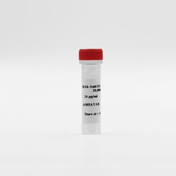 Revvity Health Sciences Inc HTRF mAb Anti-HA Tb-Conjugate, 5,000 Assay
