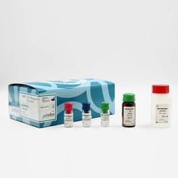Revvity Health Sciences Inc HTRF cAMP Gs HiRange Detection Kit, 1,000 Assay