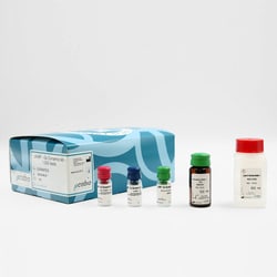 Revvity Health Sciences Inc HTRF cAMP Gs Dynamic Detection Kit, 1,000 Assay