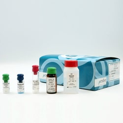 Revvity Health Sciences Inc HTRF KinEASE STK S1 Kit, 1,000 Assay Points,