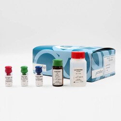 Revvity Health Sciences Inc HTRF IP-One Gq Detection Kit, 20,000 Assay