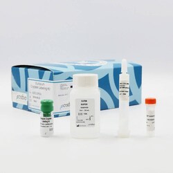 Revvity Health Sciences Inc HTRF Europium Labeling Kit, Quantity: Each