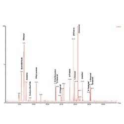 Perkin Elmer US LLC Elite-5ms Capillary Column - 60 m x 0.25 mm I.D. x