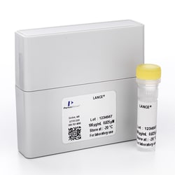 Revvity Health Sciences Inc LANCE Ultra Anti-Phospho-p70 S6K (Thr389) Eu-Antibody,