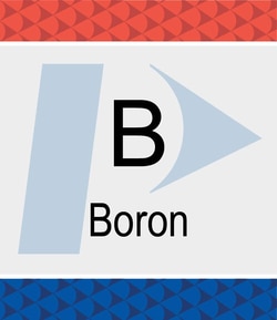 Perkin Elmer US LLC Boron (B) Pure Standard, 1,000 µg/mL, H2O, 500 mL,
