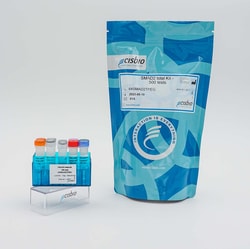 Revvity Health Sciences Inc&nbsp;HTRF Human & Mouse Total SMAD2 Detection Kit, 500 Assay Points