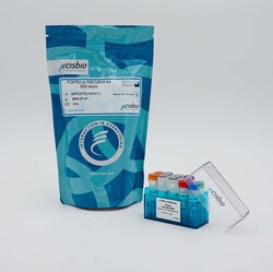 Revvity Health Sciences Inc&nbsp;HTRF Human Phospho-FGFR2 (Tyr653/654) Detection Kit, 500 Assay Points