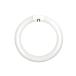 Dazor Mfg Corporation Circline 22W Fluorescent Bulb (Daylight) Mininum order 3 ea
