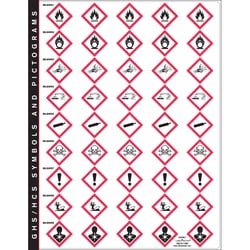 Labelmaster Inc GHS Pictogram Mini Label Assortment, 25/pk, Quantity: Each