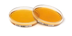 MilliporeSigma Tryptic Soy Agar - ICR 30 mL, Quantity: Pack of 20