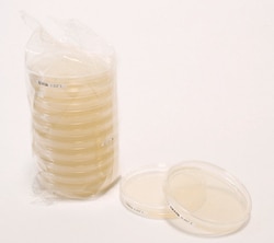 MilliporeSigma R2A Agar, 120/pk, Quantity: Pack of 1