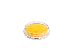 MilliporeSigma Tryptic Soy Agar Plates, 55mm, 20/pk, Quantity: Pack of