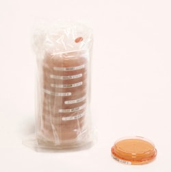 MilliporeSigma Sabouraud Dextrose Agar with neutralizers, 200/pk, Quantity: