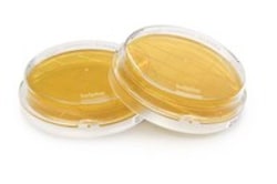 MilliporeSigma TSA with LTHThio cont.-ICR+ | 200/pack