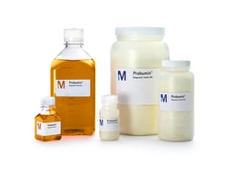 MilliporeSigma PROBUMIN DIAG GRD BSA 100G, Quantity: Each of 1