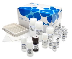 MilliporeSigma Human Insulin ELISA, 96 wells, Quantity: Each of 1