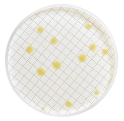 MilliporeSigma Milliflex Cassette prefilled with Plate Count Agar, 10ml,