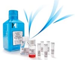 MilliporeSigma EndoGRO-VEGF Complete Culture Media Kit