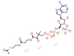 Pfaltz Acetyl Coenzyme A trilithium salt, 5mg, Quantity: Each of 1