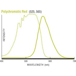 Polysciences, Inc. Polychromatic Red Microspheres 0.5um, 5 mL, Quantity: