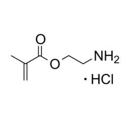 Polysciences, Inc. 2-Aminoethyl Methacrylate Hydrochloride; 10g; L.F. C6H