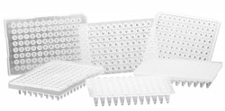 Research Products International Corp Raised Rim PCR Plate, 250 ul, Compatible