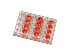 Research Products International Corp Tissue Culture Plates, 24 Well Array, 3.5ml, 100/pk