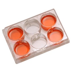 Research Products International Corp Cell Culture Plates, 6 Well, 50 per
