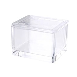 Research Products International Corp&nbsp;Dish and Cover for 20 Slide Staining Rack