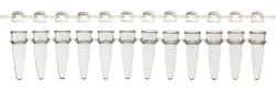 Research Products International Corp UltraFlux 12 Strip Tubes with Unattached