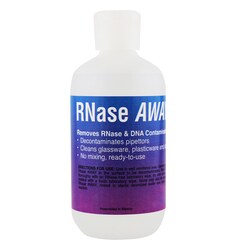 Research Products International Corp RNase Away, 250ml Bottle, Quantity: